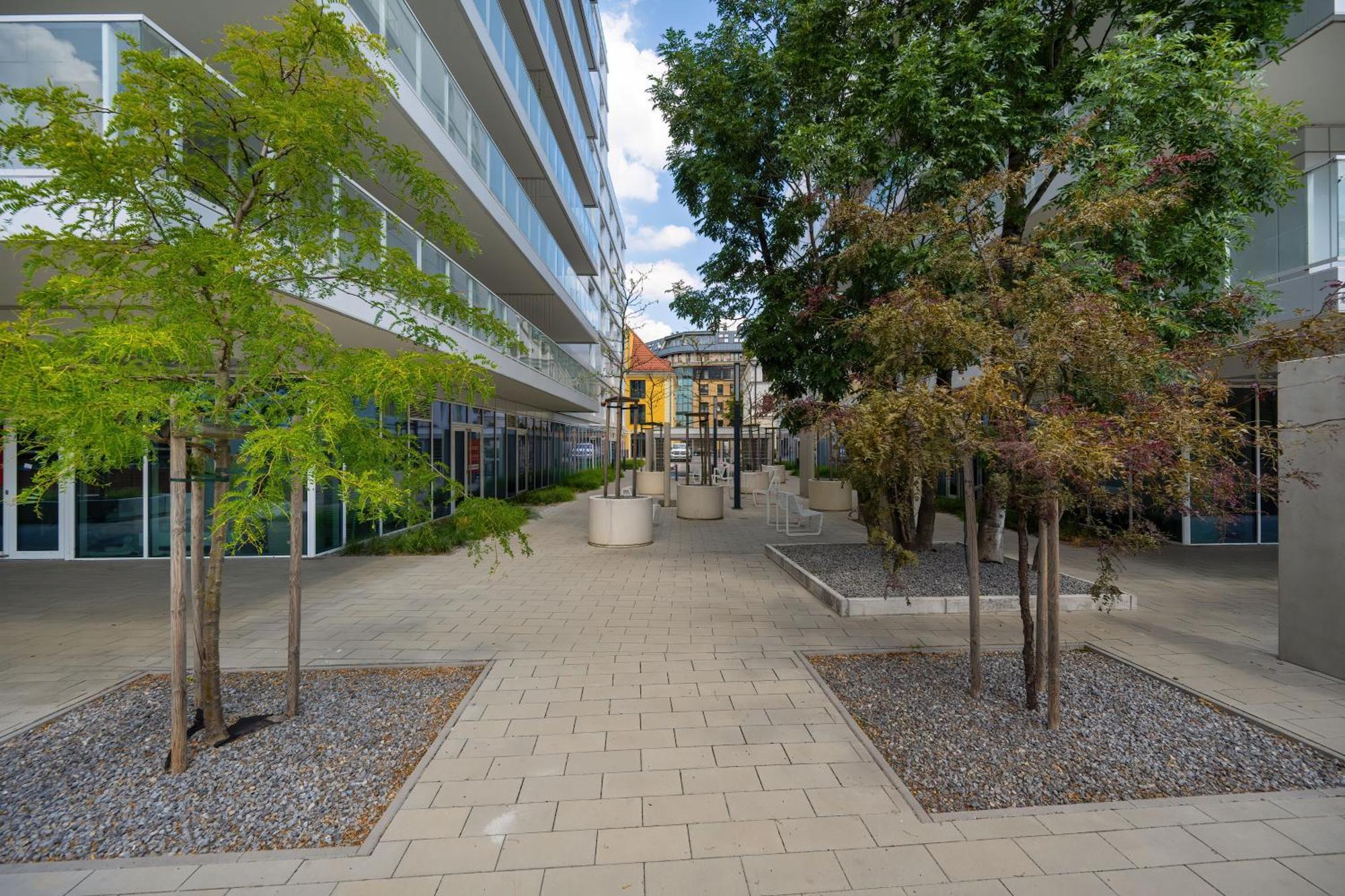 Elegancki Apartament Z Parkingiem Blisko Starego Miasta By Noclegi Renters Wrocław Exteriör bild